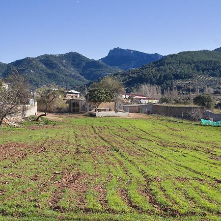 Casa Rural Chache Casto Bienservida Exteriör bild